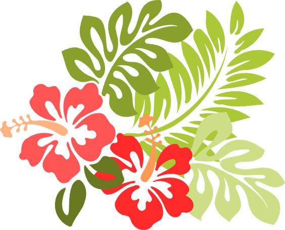 564x454 Hibiscus Flower Clip Art