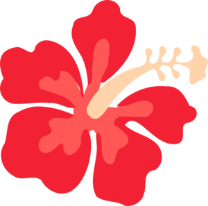 300x297 Hawaiian Flowers Clipart No Background