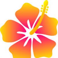 200x200 Hawii Flower