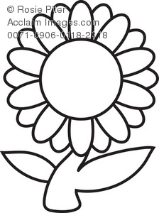 224x300 Daisy Clipart Black And White