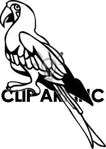 213x300 Hawaii Clipart Parrot