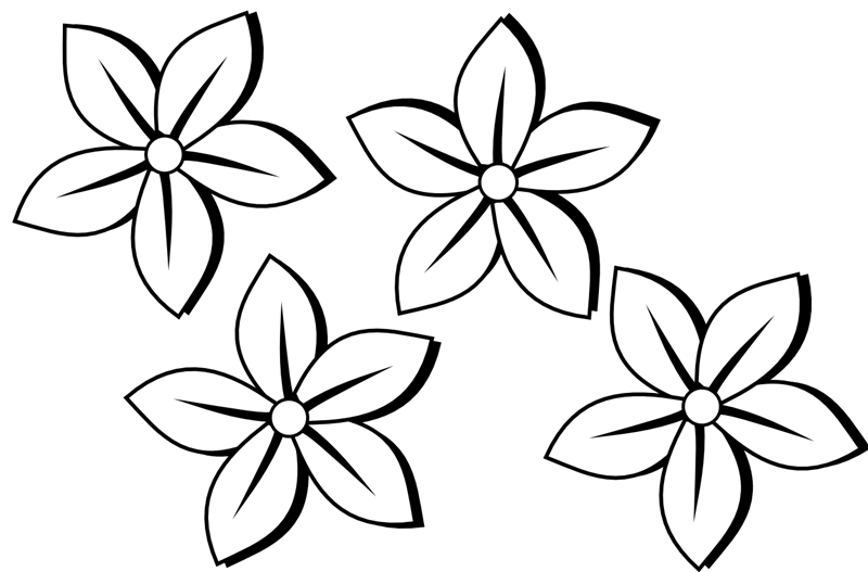 800x527 Black And White Pictures Of Flowers To Draw Allofpicts
