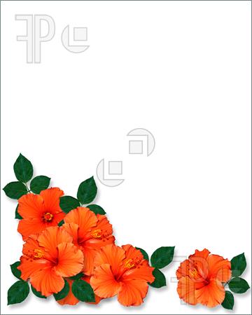 360x450 Tropical Hibiscus Clip Art