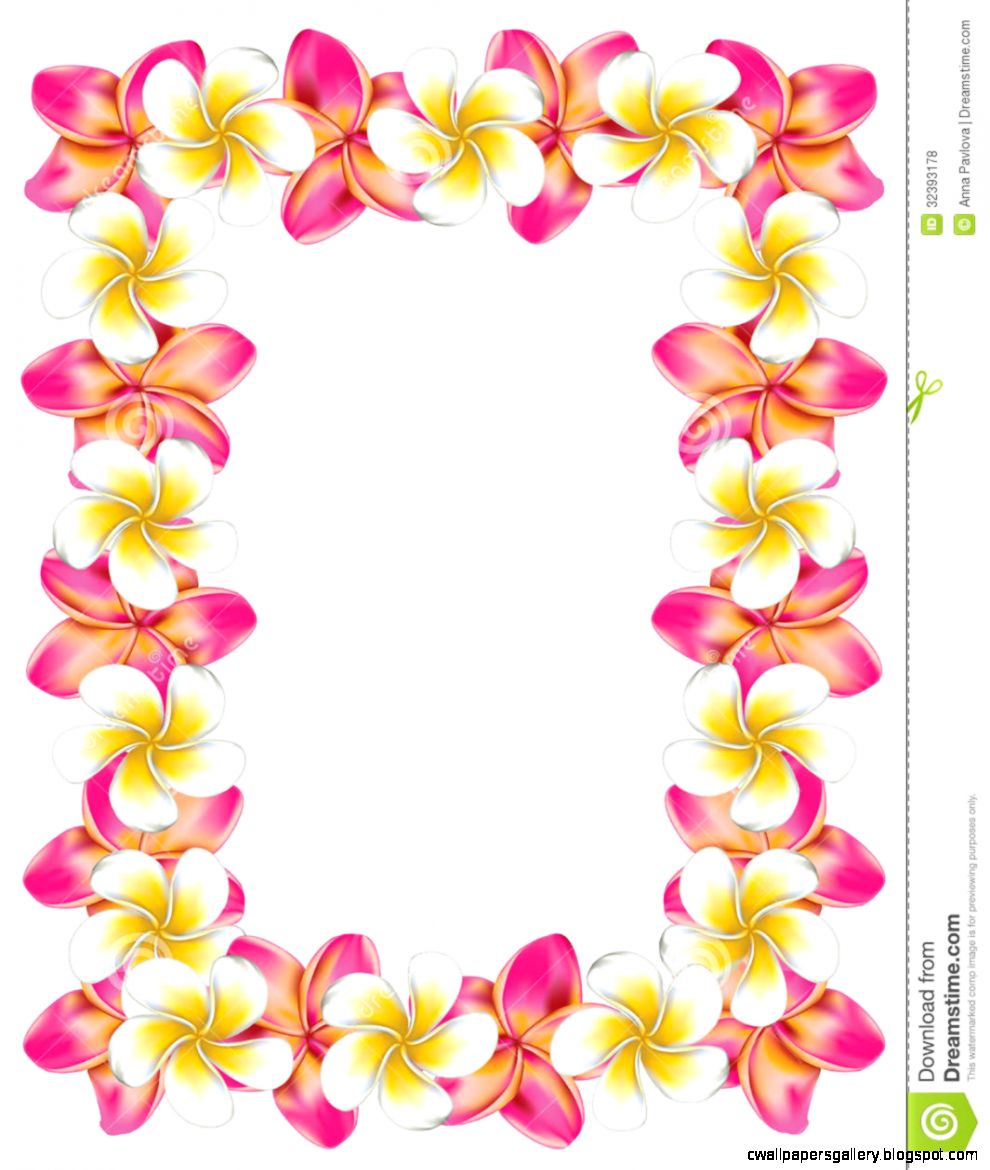 990x1170 Hawaiian Flower Border Clip Art Wallpapers Gallery