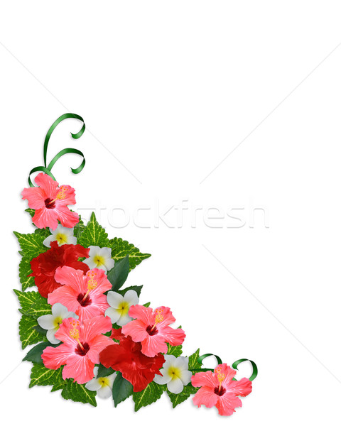 480x600 Tropical Flowers Corner Border Stock Photo Irisangel ( 589106