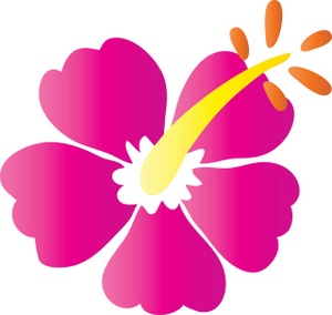 300x284 Hibiscus Clipart Image