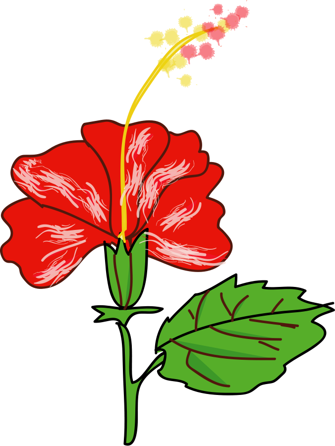 676x900 Hibiscus Flower Design