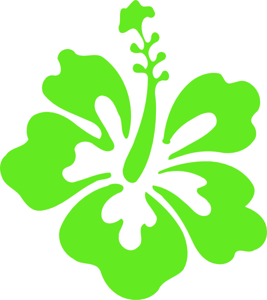534x600 Hibiscus Clip Art
