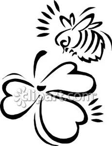 231x300 Hawaiian Turtle Clip Art Black And White Clipart Panda