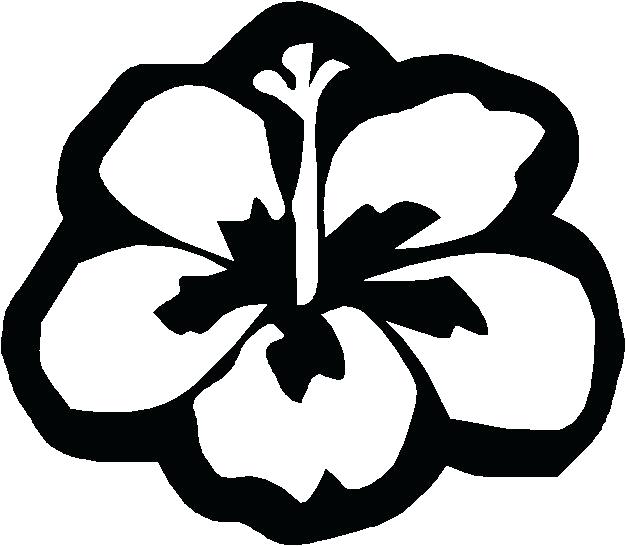 626x546 Hawaiian Color