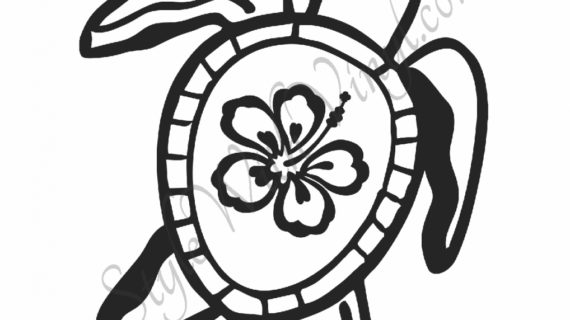 570x320 Hawaiian Flower Drawing Pictures Of Flowers To Draw Beautiful