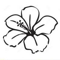 200x200 Hawaiian Flowers Drawings