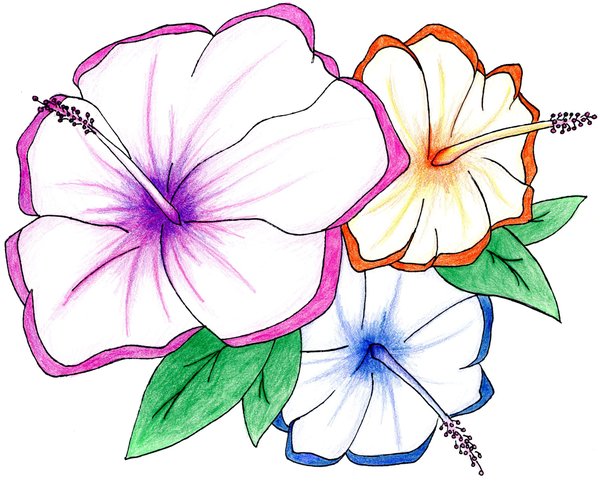 600x482 Hawaiian Projects To Try Hawaiian Flowers And Flowers
