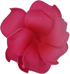 283x300 The Best Hawaiian Flower Hair Ideas Tropical