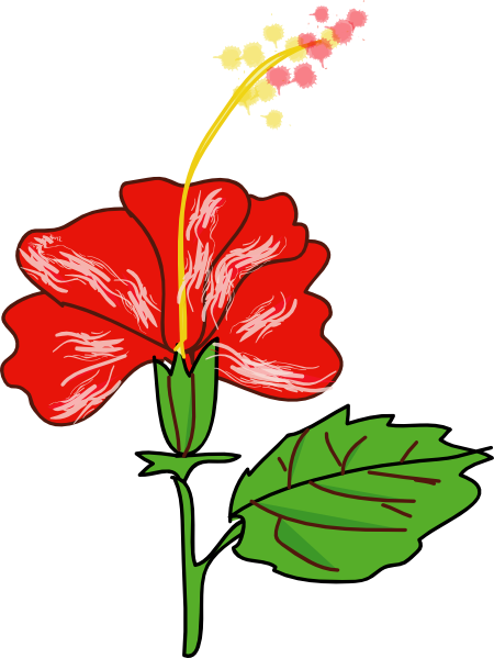 450x599 Flower Hibiscus Clip Art