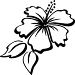 Hawaiian Flower Outline | Free download on ClipArtMag