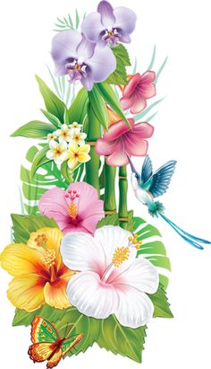 236x411 Hawaiian Aloha Tropical Flower Hawaiian, Moana