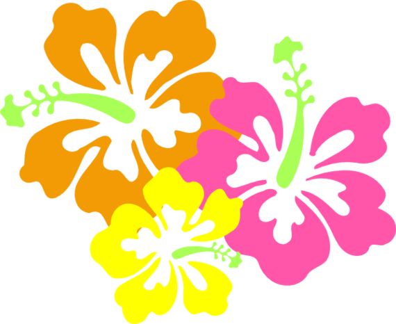 570x466 Luau Flowers Clip Art Borders Free Clipart 2