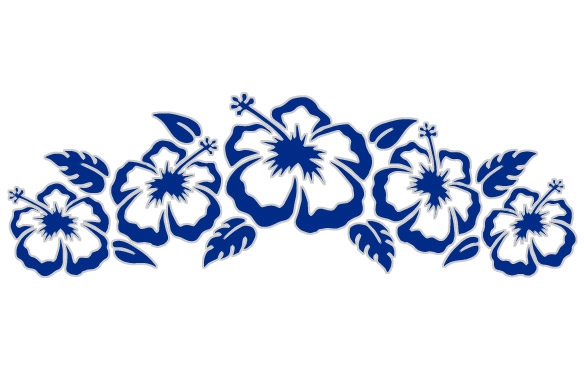 584x368 Surf City Hibiscus Flowers