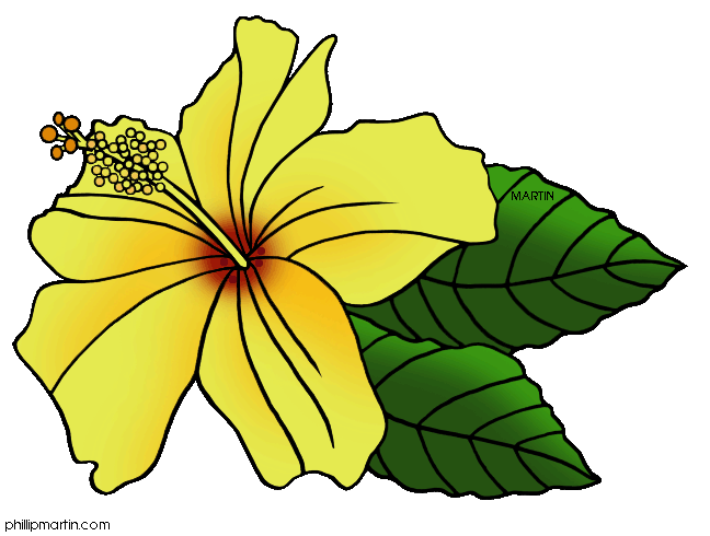 648x490 Hawaii Clipart Hawaii State Flower
