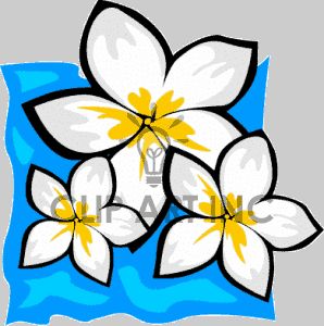 298x300 29 Best Hawaiian Flowers Images Draw, Drawing