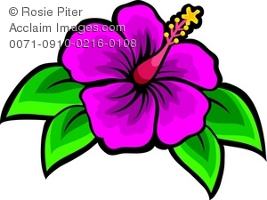 300x225 Pink Hawaiian Flower Clipart Panda