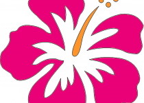 210x150 Clip Art Hawaiian Graphics Clip Art