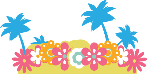 479x242 The Ultimate Travel Guide To Hawaii