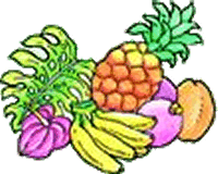 200x160 Free Hawaiian Clipart Graphics. Touncan, Hula Girl, Shirt, Flag