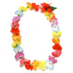 240x240 Winding Country Road Clipart