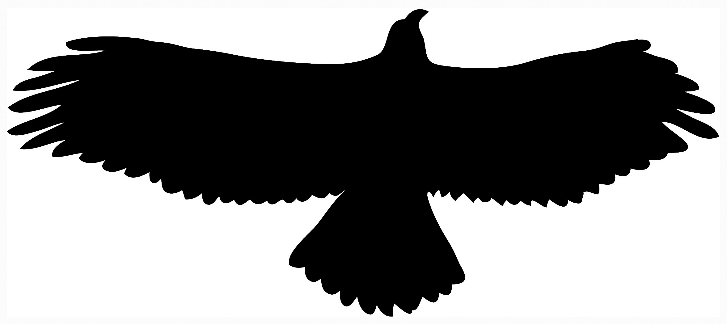 2353x1049 Bald Eagle Clipart Hawk
