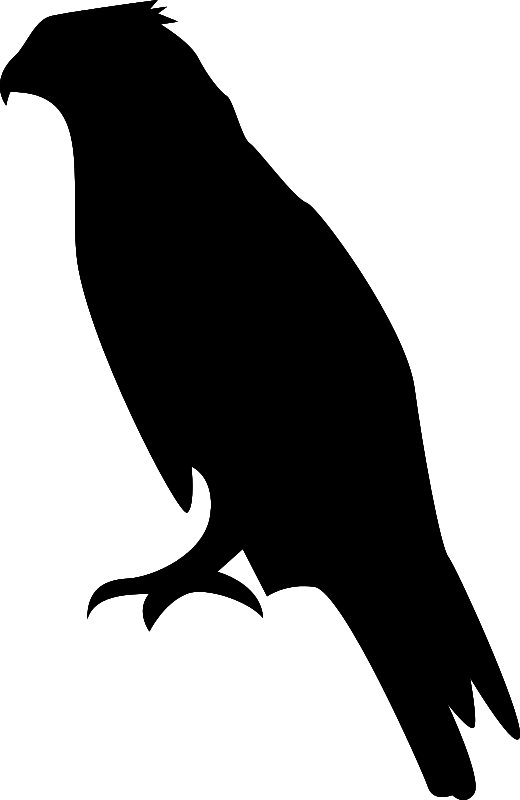 520x800 Hawk Clip Art Download