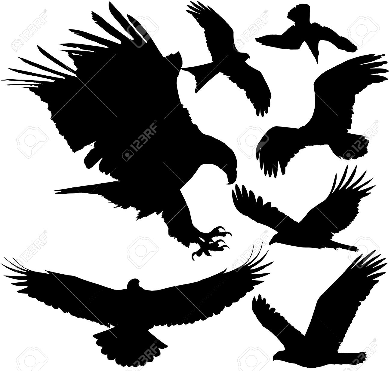 1300x1235 Predator Hawk Clipart, Explore Pictures
