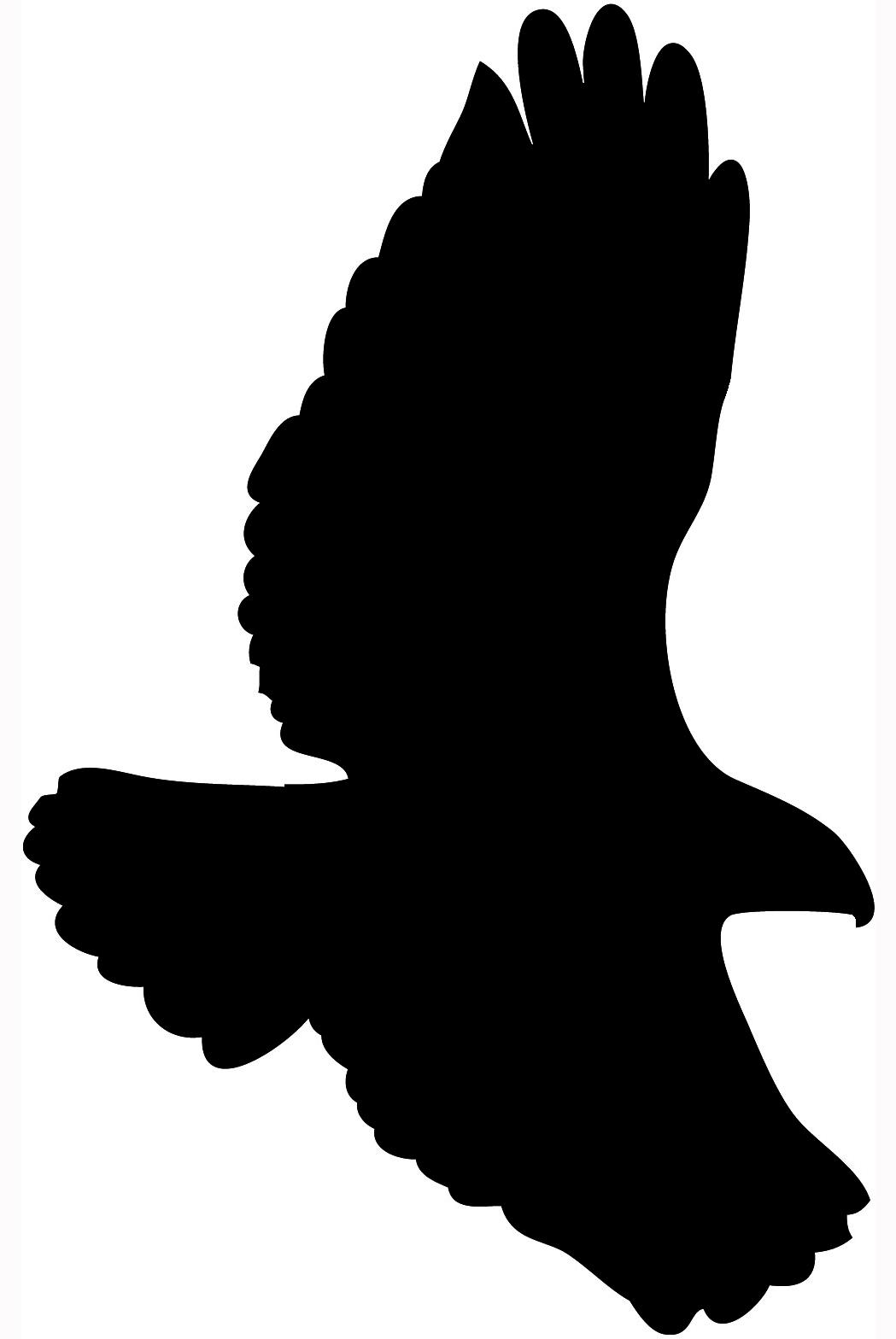 1049x1568 Top 10 Hawk Clipart Black And White Bird Silhouettes Flying Photos