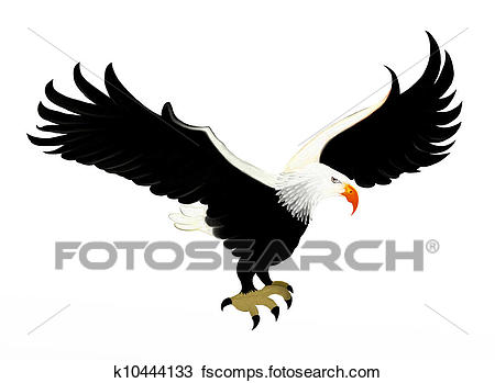 450x349 Hawk Mascot Illustrations And Stock Art. 190 Hawk Mascot
