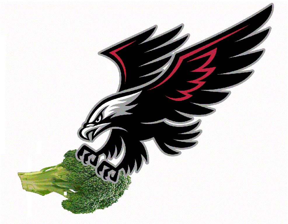 987x768 Marked Hawk Clip Art Vector Free Image 2