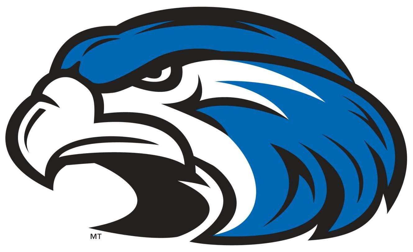 1330x811 Best 15 Cartoon Hawk Clipart Free Clip Art Images Cdr