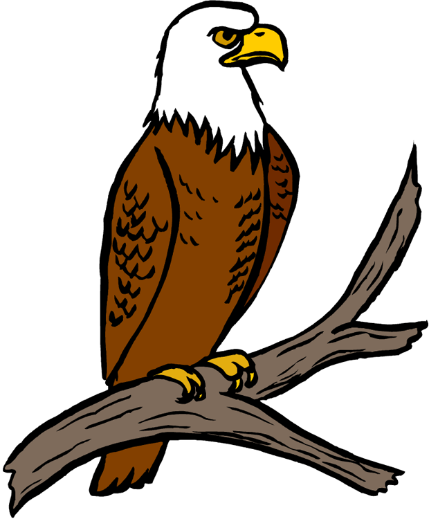 620x750 Clip Art Eagle Many Interesting Cliparts