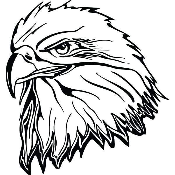 600x600 Eagle Head Bird Clip Art For Engraved Products