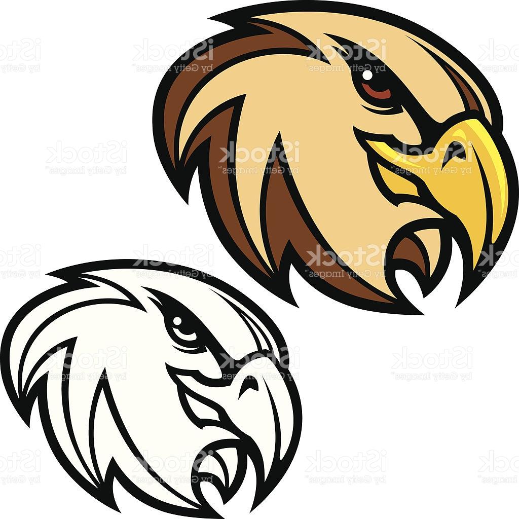 1024x1024 Best Hawk Head Vector File Free