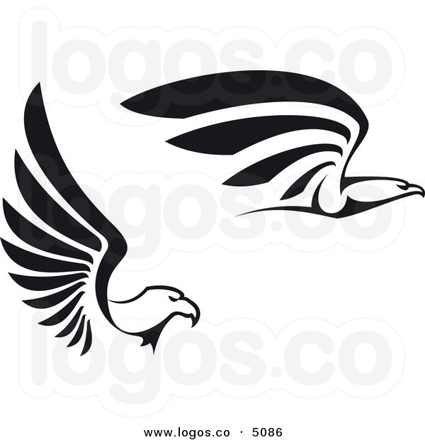 600x620 Pix For Gt Falcon Logo Clip Art Falcons Birds Of Prey