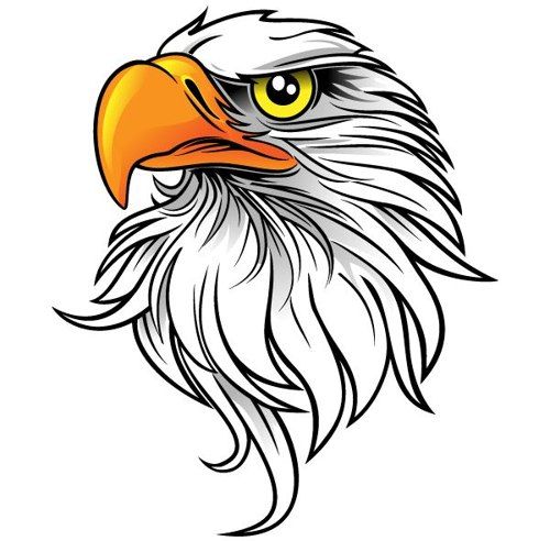 500x492 Top 88 Bald Eagle Clipart