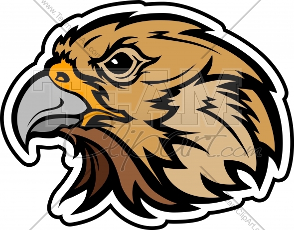590x462 Falcon Mascot Clipart Image In Downloadable Vector Format