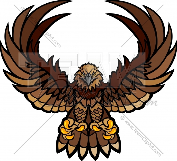 590x537 Hawk Clipart Talon