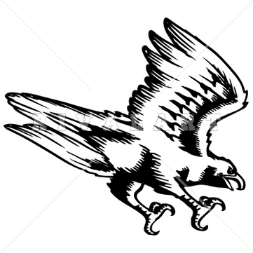 361x361 Top 68 Falcon Clip Art