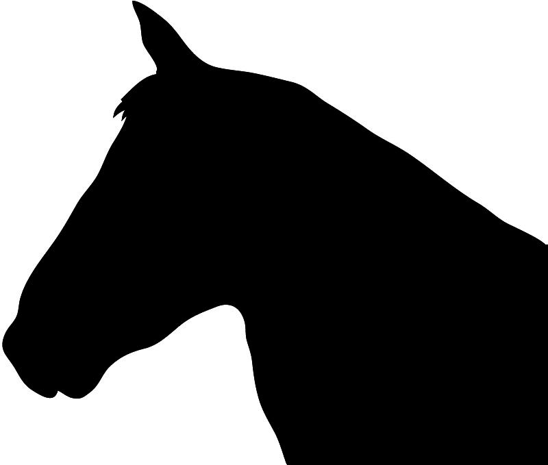 800x679 Horse Head Vector Free Download Clip Art