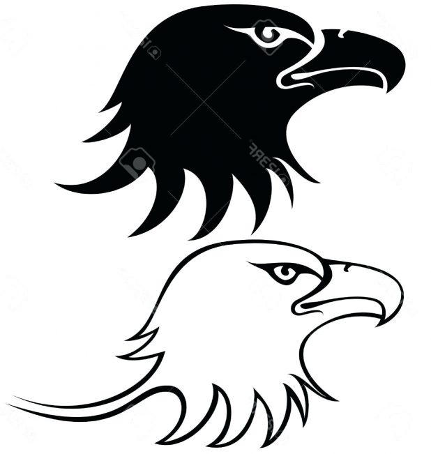 618x651 Best Eagle Head Outline Vector File Free 13 Surprising Duck