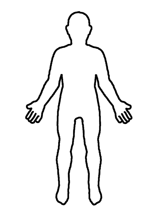 547x752 Clipart Human Body Outline