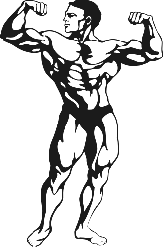 331x500 Strong Guy Cliparts 263869