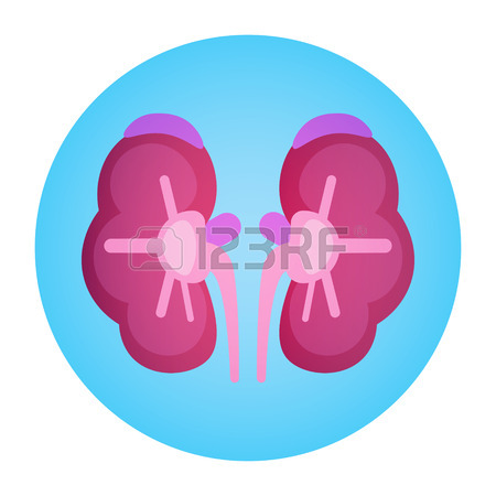 450x450 Kidney Icon Health World Day Global Holiday Banner Flat Vector